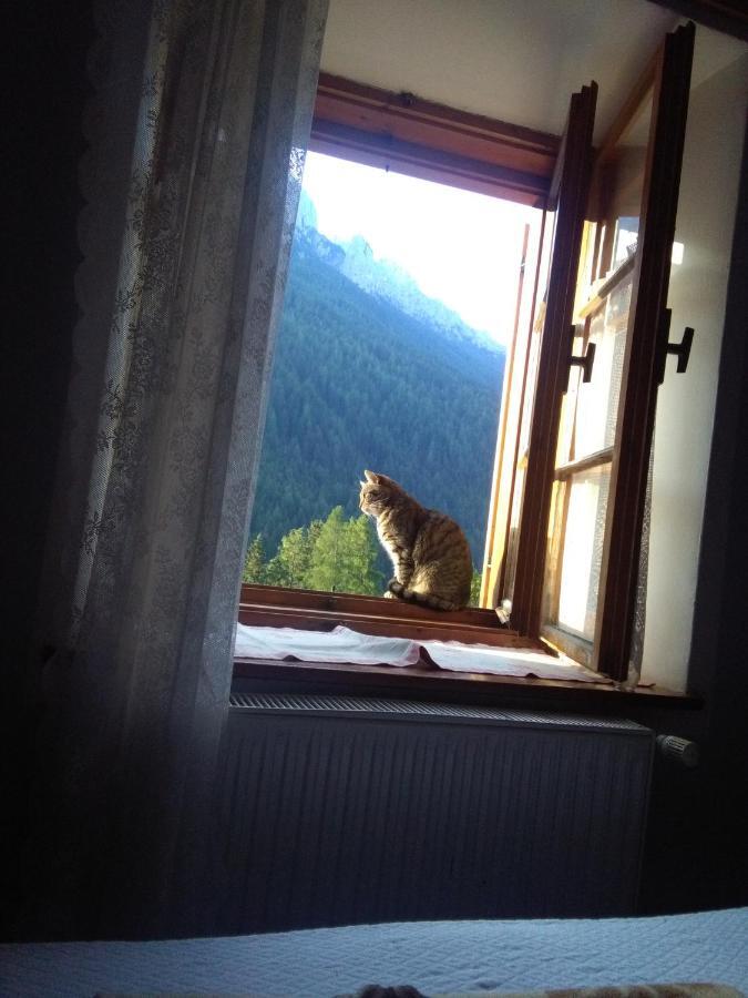 Achillea Bed & Breakfast Vigo di Fassa Zewnętrze zdjęcie