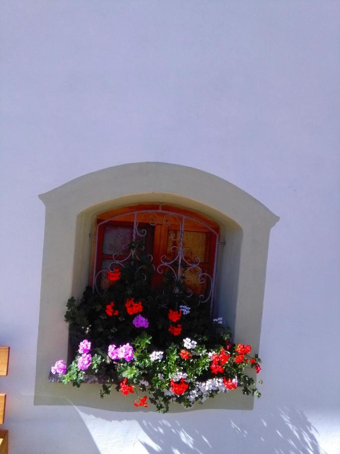 Achillea Bed & Breakfast Vigo di Fassa Zewnętrze zdjęcie