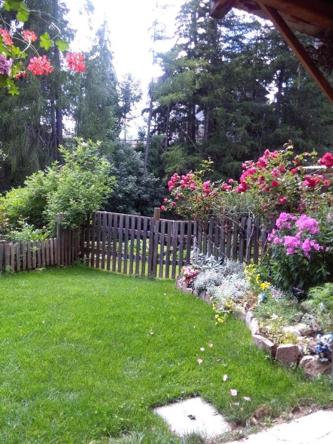 Achillea Bed & Breakfast Vigo di Fassa Zewnętrze zdjęcie